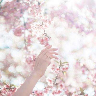 我的女皇大人游戏(暂未上线)v1.0 安卓版